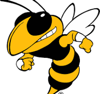 Hinsdale South HS Basketball